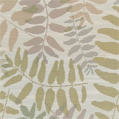PALMETTO COCONUT
